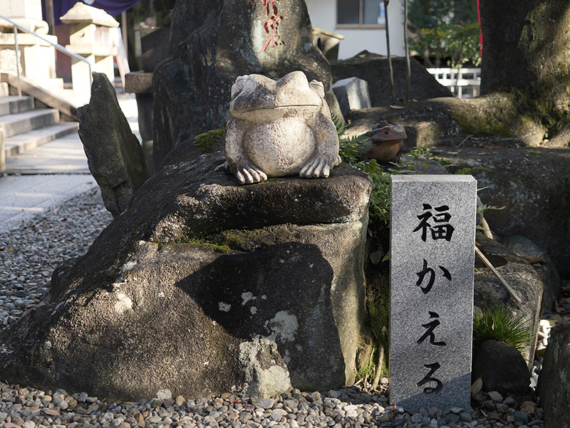 福かえるの写真