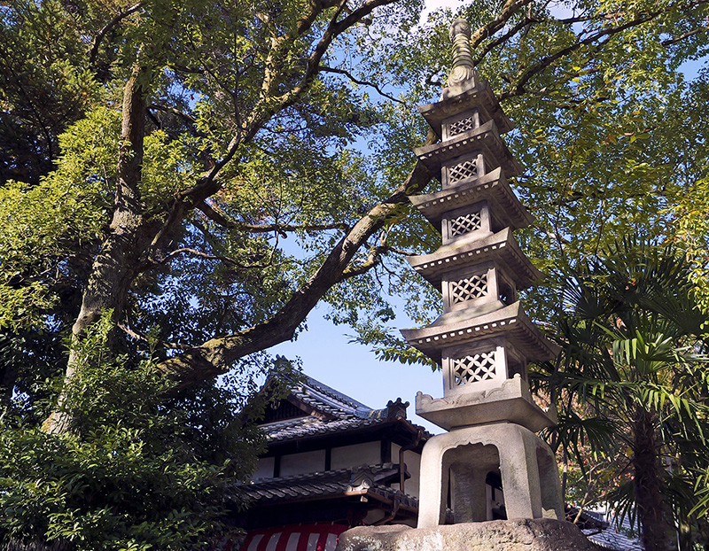 五重塔の写真